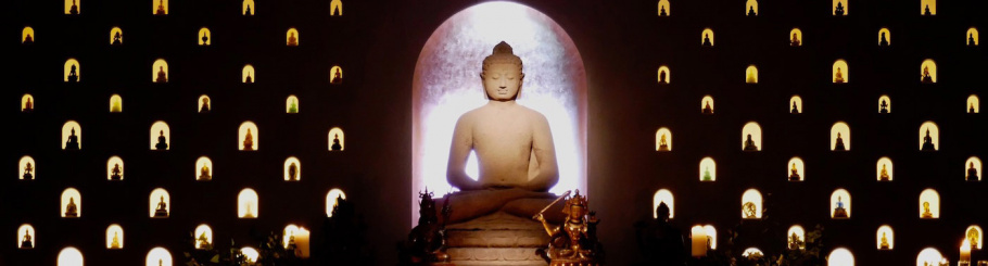 College of Public Preceptors