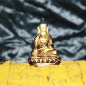 Dutch Buddha