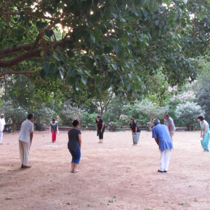 Chikun under Bodhi Tree