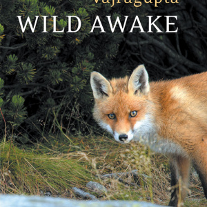 Wild Awake by Vajragupta, coming soon