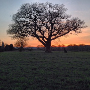 Early April view from Adhisthana