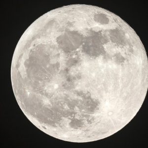 Bodhicitta Tonglen Online Sikkha Workshop