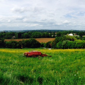 View over Adhisthana
