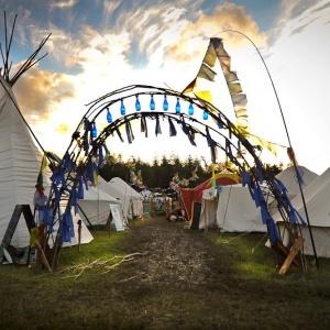 The Healing Garden by Charlotte Baxter